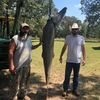big_shrimpin_bowfishing