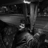 yosef_476