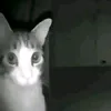 tabaak_ouo