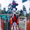 brondy_mr