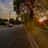 hmody_7767