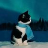 cmgth3man_alt_account_