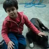 luchobatocchi