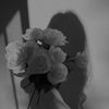 bashaer.a.a