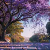 vuvu002025