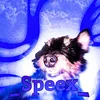 __speex__