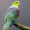 user6qr2fqohqram