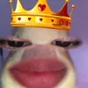 wtfrnzs