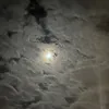 izmrb_