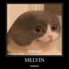 melvin_the_cat_god