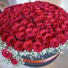 user5885773180088