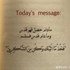 essamelashry1