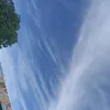 xyro_6526