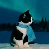 yusuf_erg.65