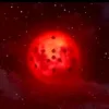 frmnhdyt7