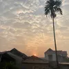 ngvn.04_