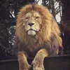 xhdjeeyeif