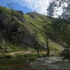 davidking3324