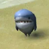kazr.kai