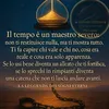 simonacriscione4