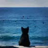 llaayyan_