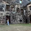 nicollefavero_
