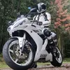 danielalbu300