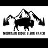 mountainridgebisonranch