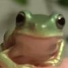 .frog.hut.333