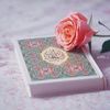 shahd...55555