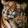lindalinda8874