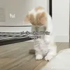 iammhphuc