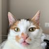 frenchfries_987
