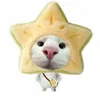 pstar_43