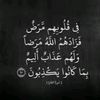 .user5195479520095