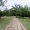 swit_875