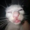emiukittyyy