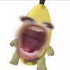 shandyajhh