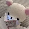 shineshyt