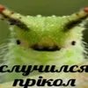pupulupujijibu