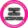 live_sandzia2