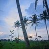 anggabayupa