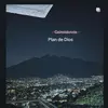 chicoarzate