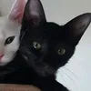 _ur.mumss_
