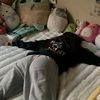 user20032301