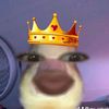 ms.ashwlqy0