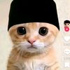 muhammad008763