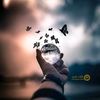 hananbk241