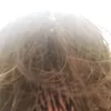 geniusbrowtf123