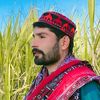 asjadali074
